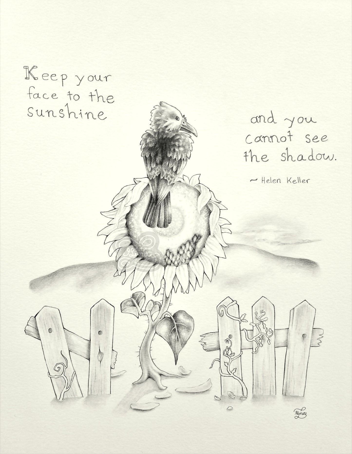 "To The Sunshine" Original Graphite Drawing
